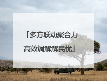多方联动聚合力 高效调解解民忧